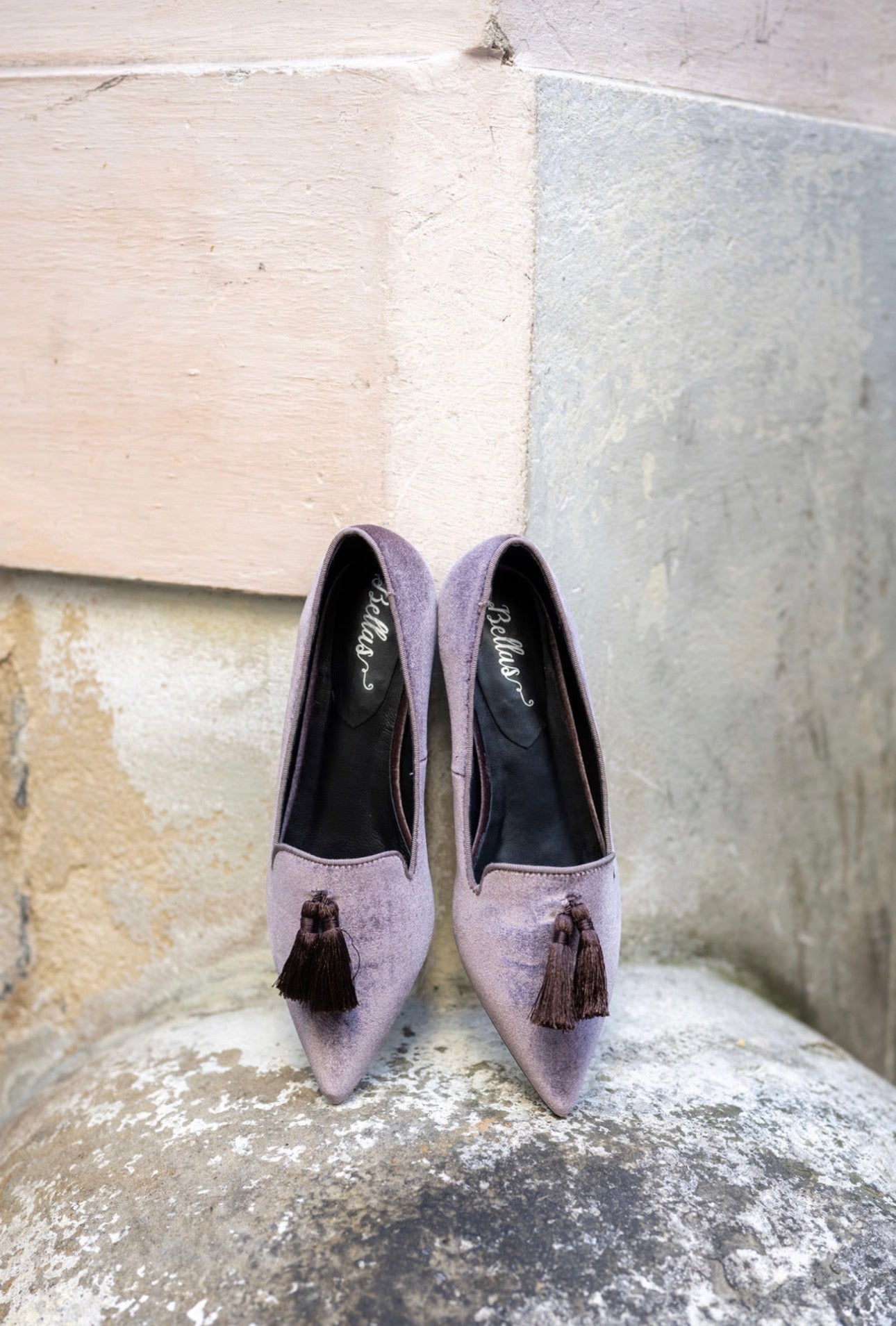 Tortora Pointy Velluto