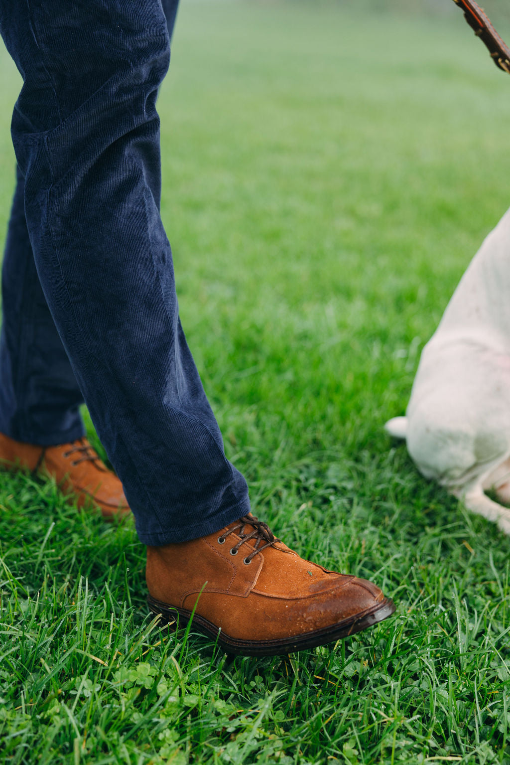 lace-up boots Suede Snuff