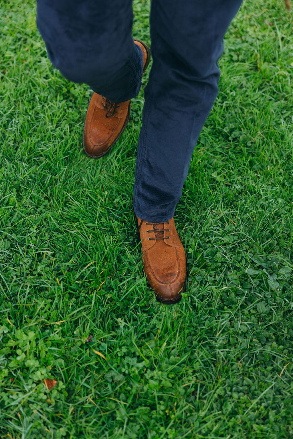 lace-up boots Suede Snuff