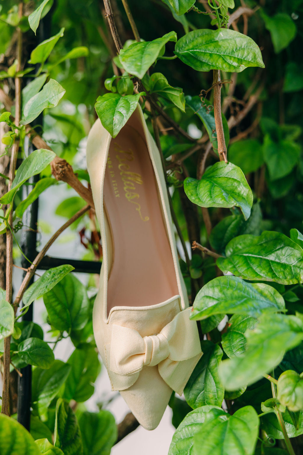 Citrus-Paglia Schleifenloafer Pointy