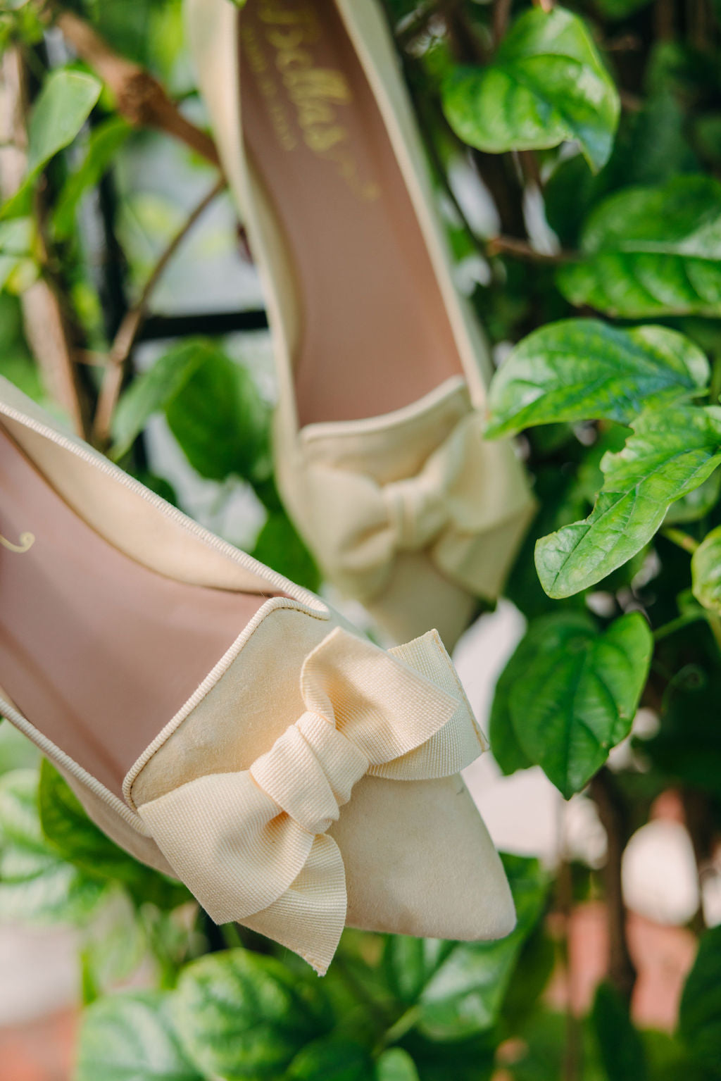 Citrus-Paglia Schleifenloafer Pointy