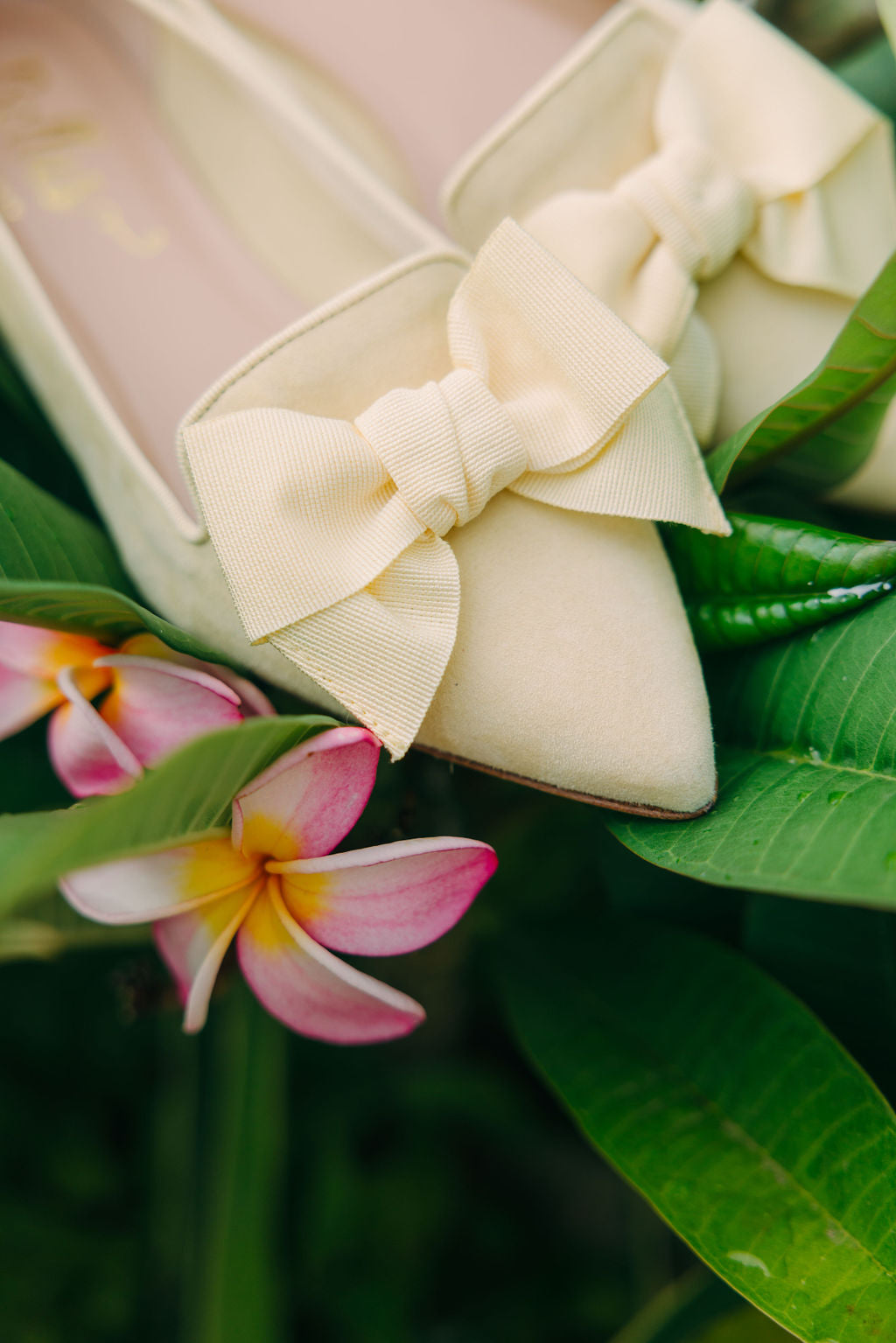 Citrus-Paglia Schleifenloafer Pointy