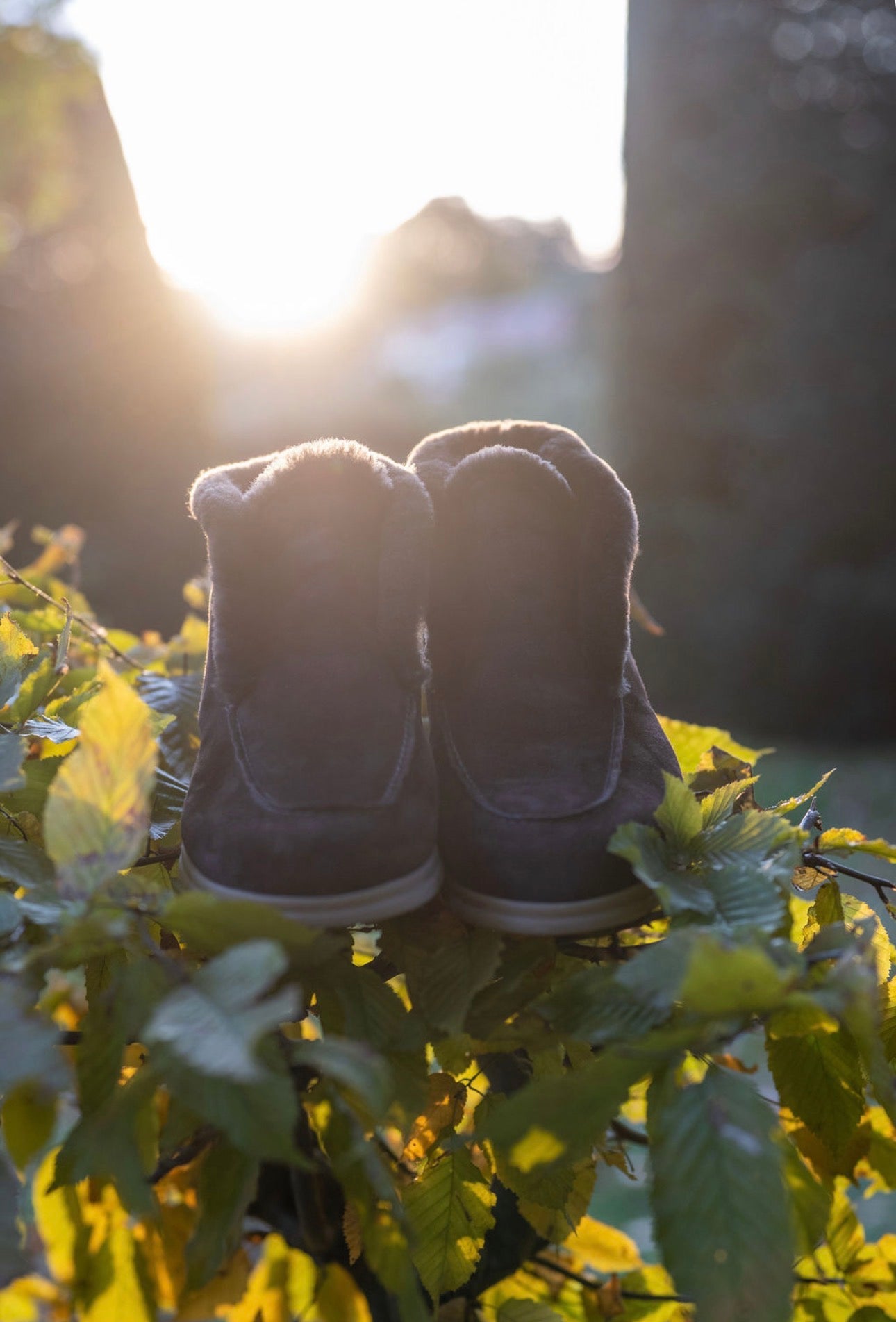TDM Stiefelette gefüttert
