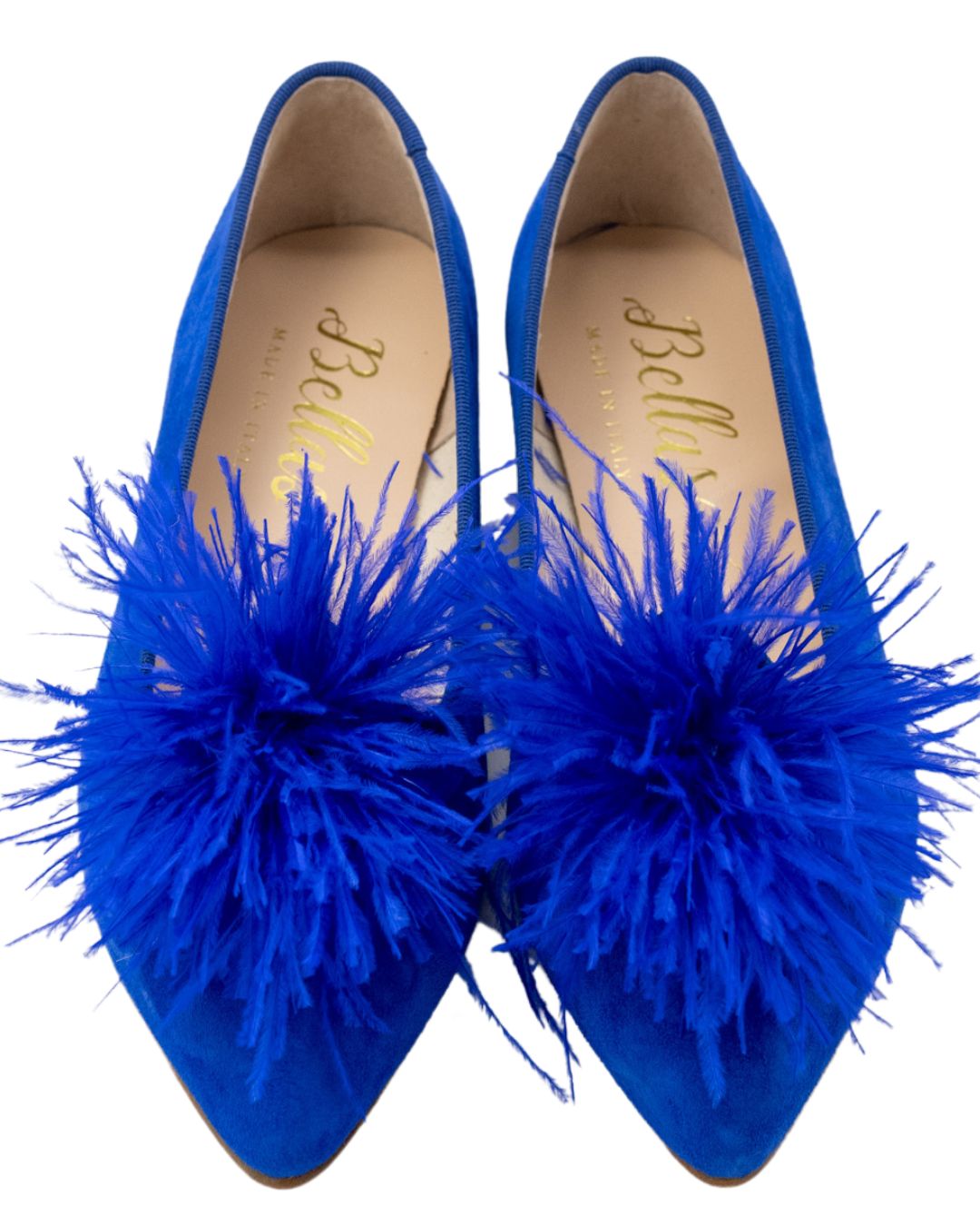 Bluette Federn Pointy