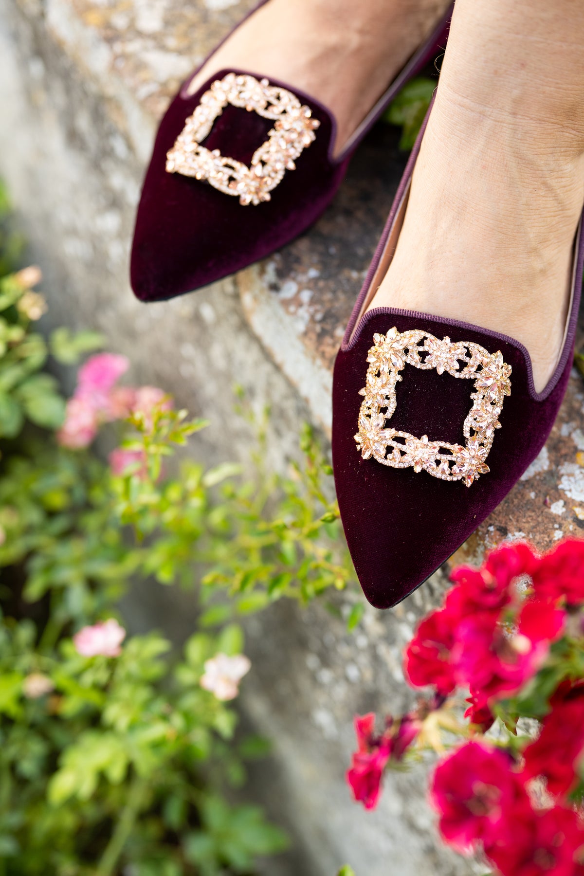 Bordeaux Velvet Glitter Buckle Pointy Loafer