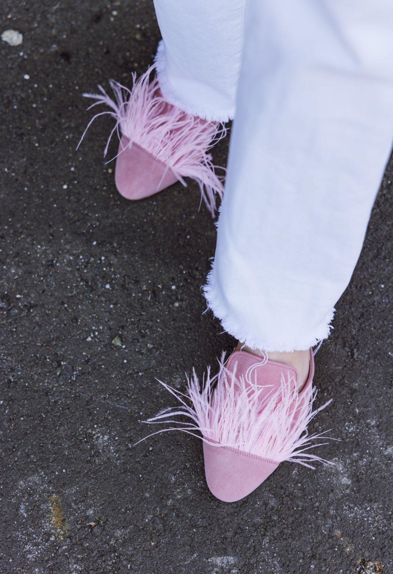 SHOOTINGSCHUH Mules Pinko Federn 36