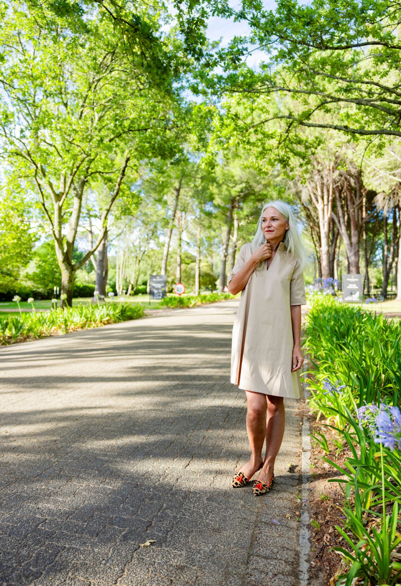 Leo Orlando - Tiger Pointy