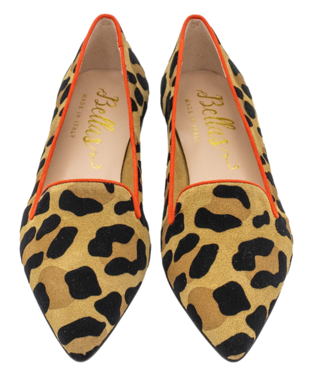 Leo Orlando-Tiger Pointy