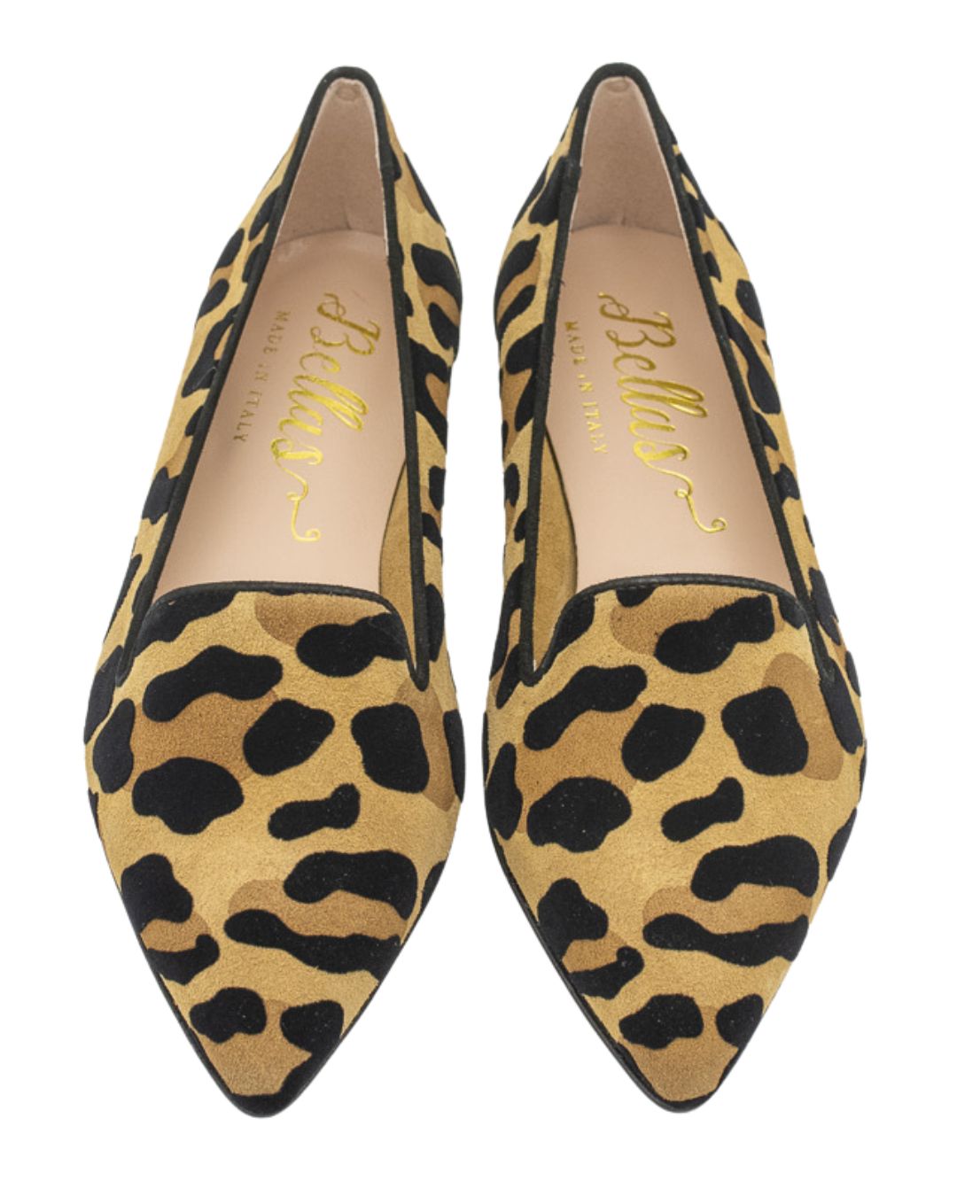 Leo Orlando-Nero Pointy