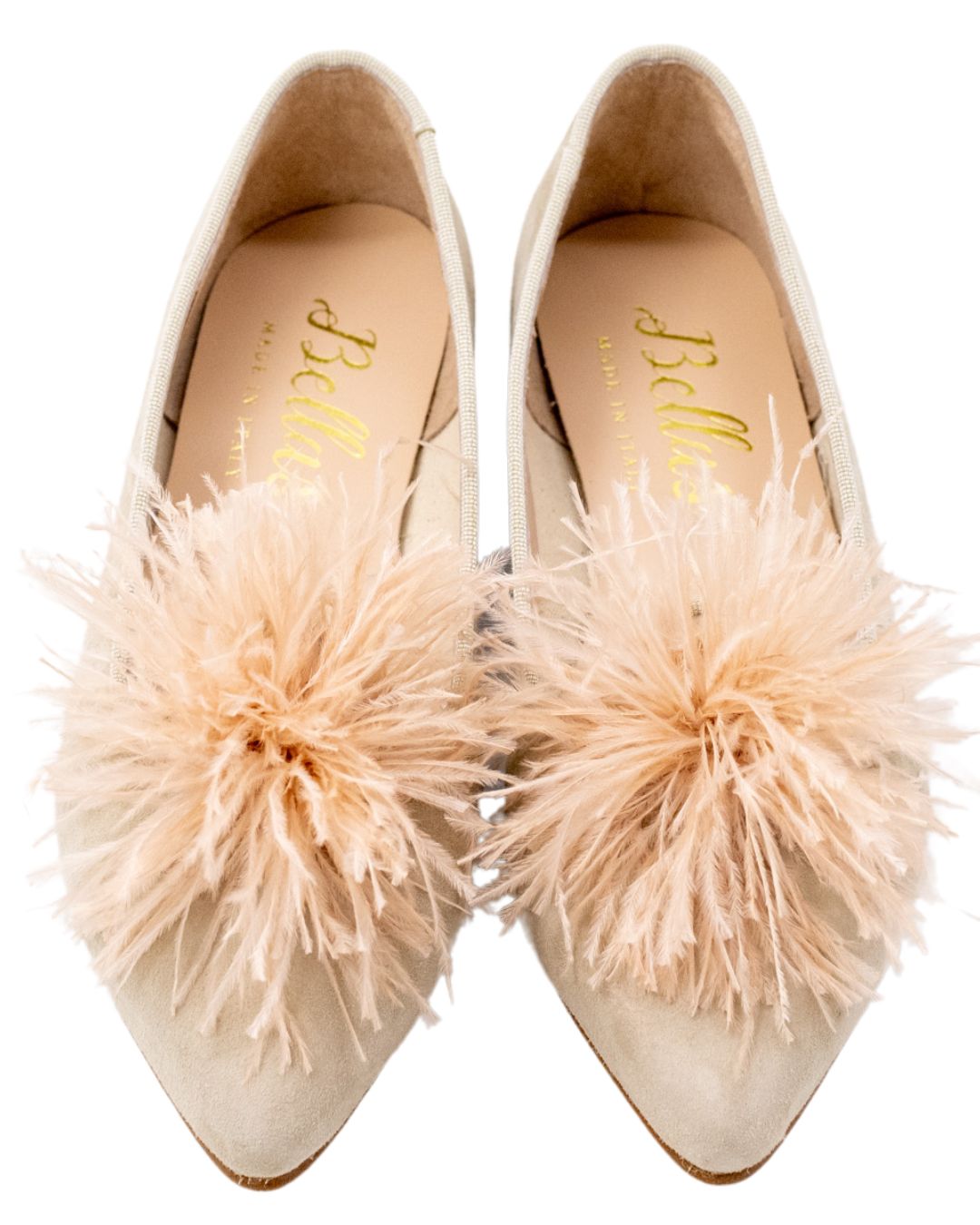 Tortora Federn Pointy