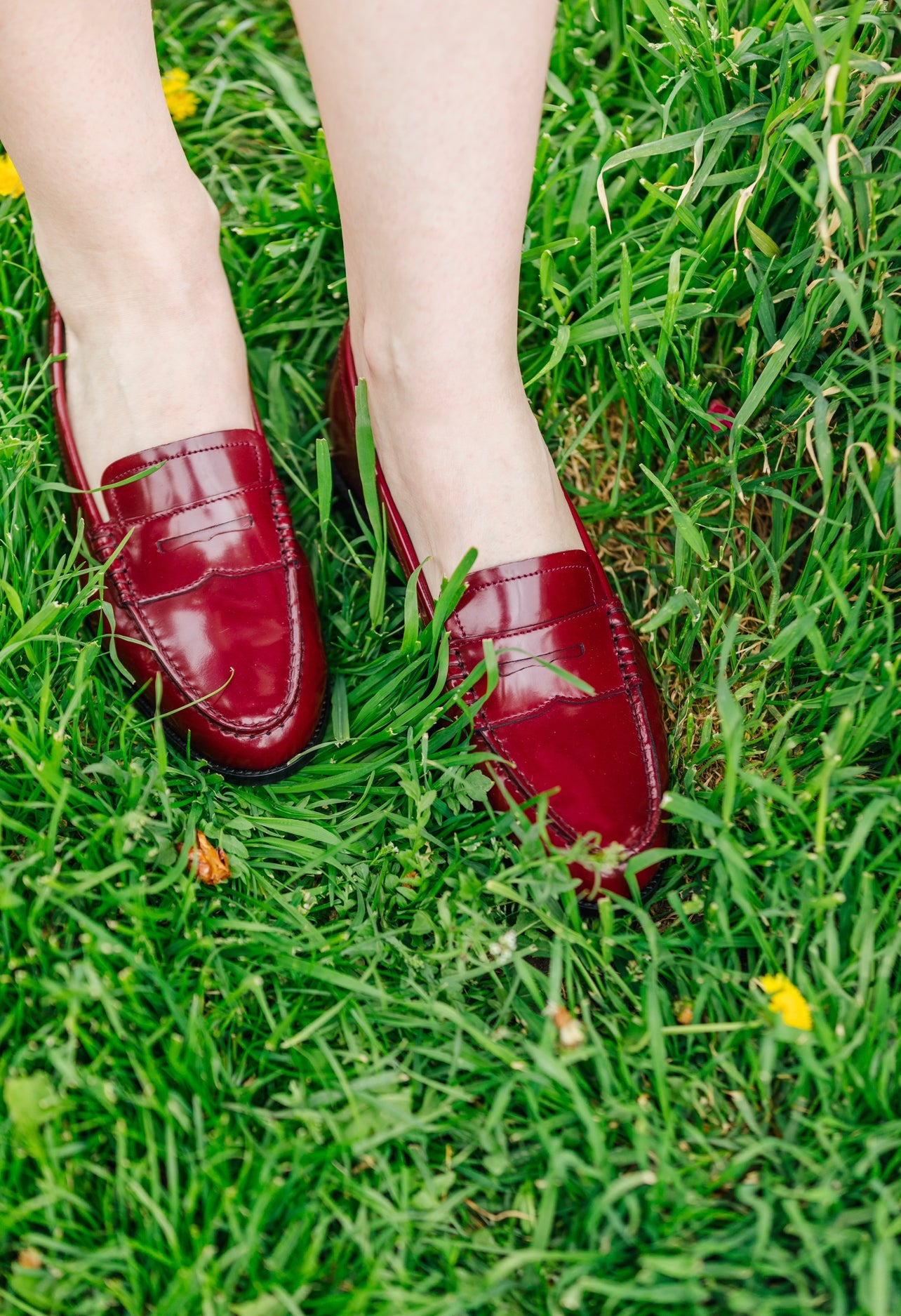 Ascot Bordo Pennyloafer
