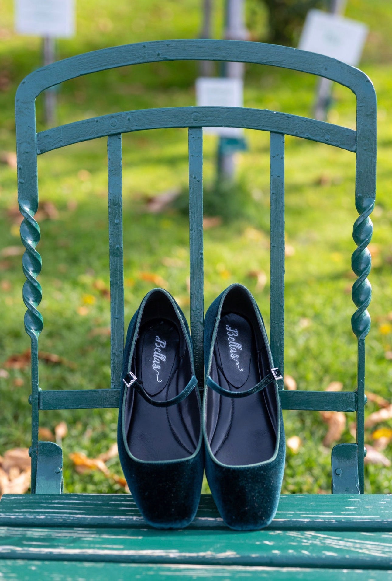 Bosco Mary Jane Velluto