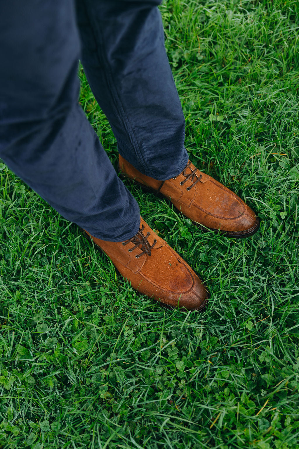 lace-up boots Suede Snuff