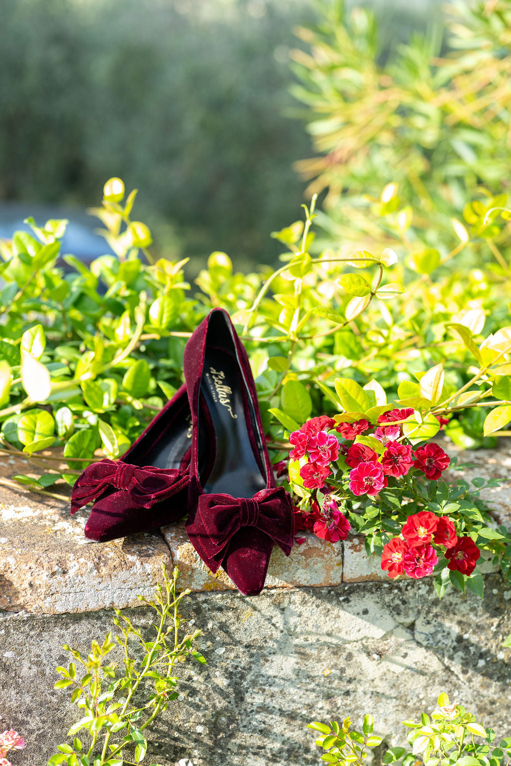 Rubino Velvet Schleifen Pumps