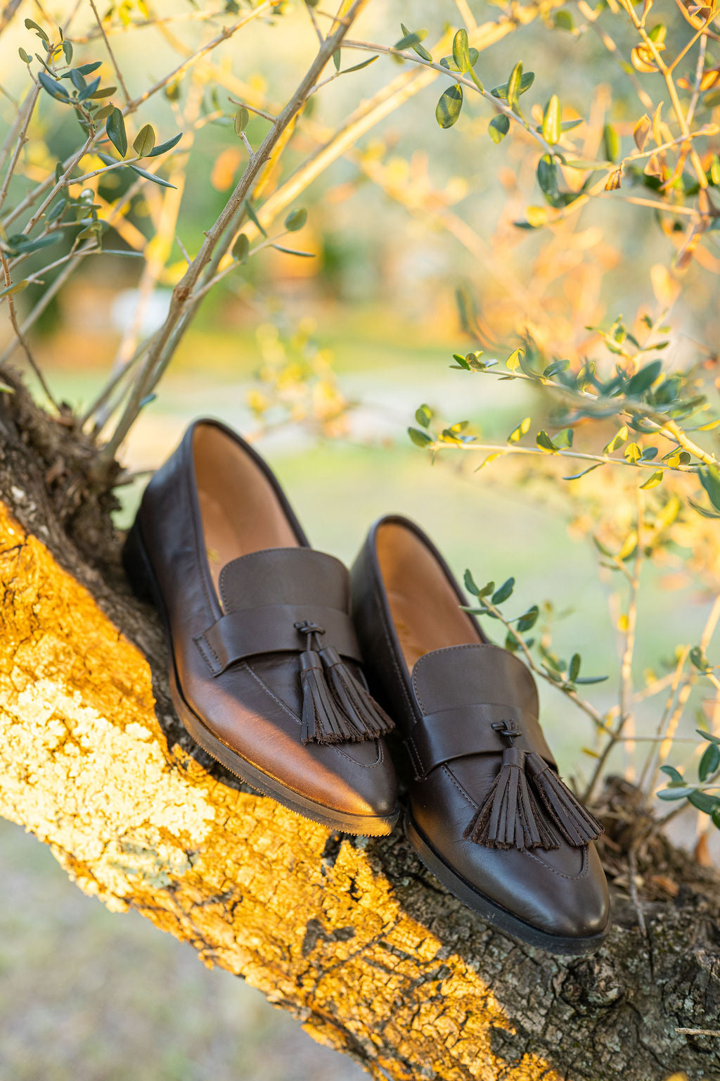 Ebano Deluxe Tasselloafer Pointy Glossy