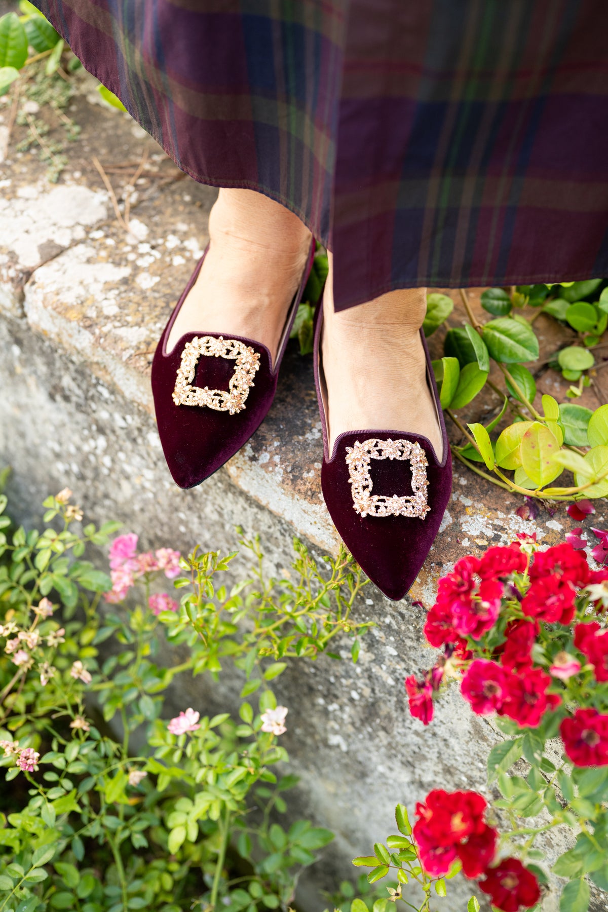 Bordeaux Velvet Glitter Buckle Pointy Loafer