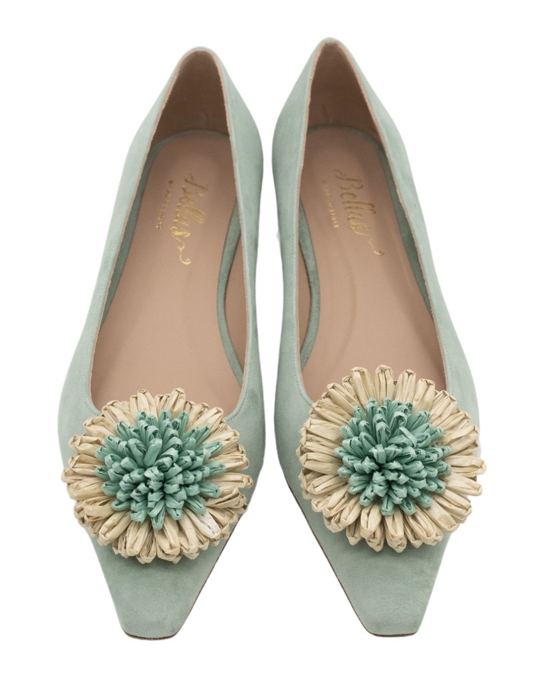 Salvia Bast Fiore Pointy